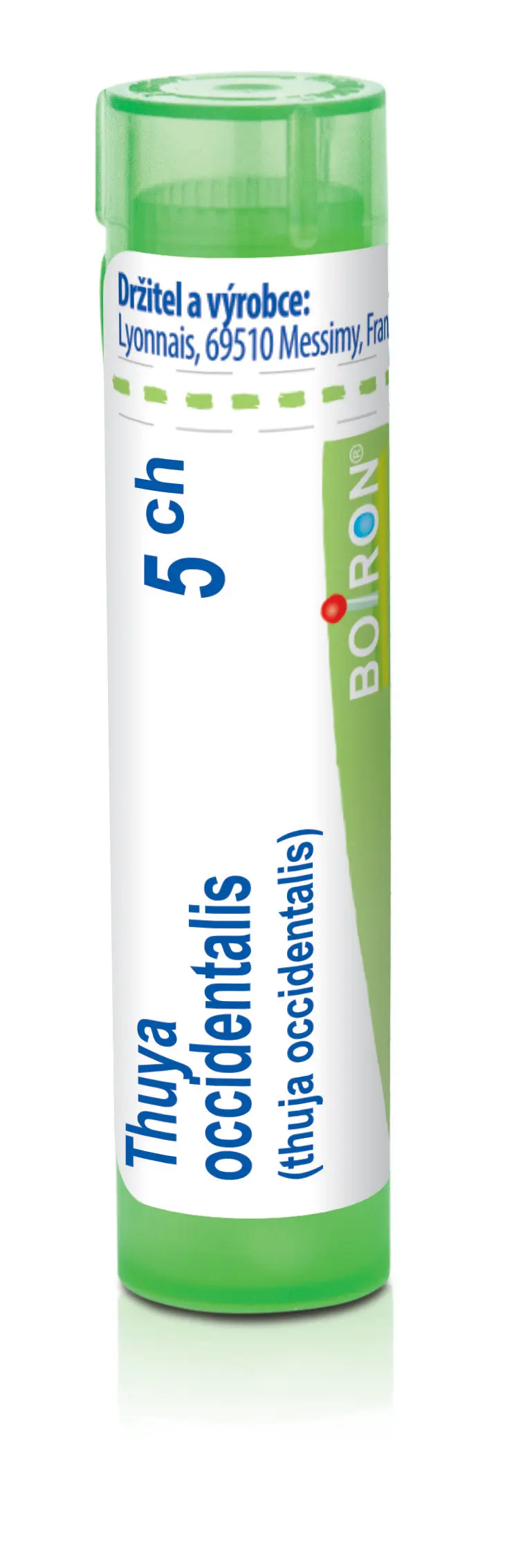 4532_THUYA OCCIDENTALIS 5